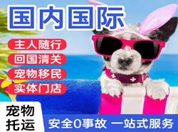 鸡西兴凯湖空运地址国际宠物托运 【国